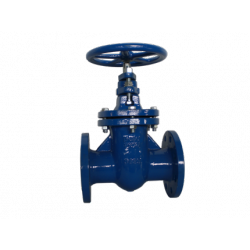 metal seated oval body gate valves in cast iron inside screw, pn 10 - valveit