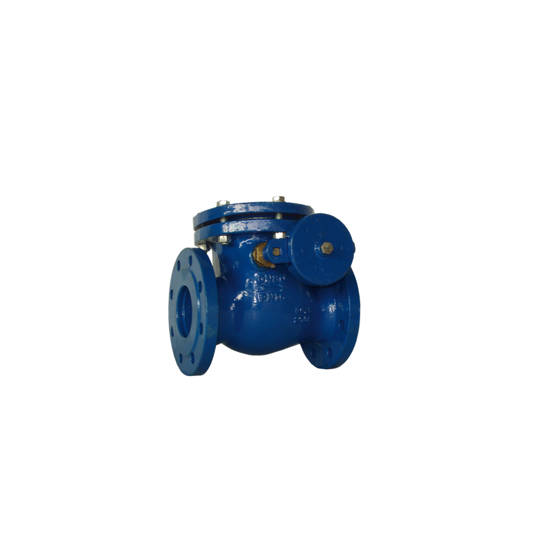 cast iron swing check valves with counter weight and lever pn 10 and 16 - valveit
