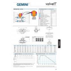 Gemini ball valve reducing bore ptfe