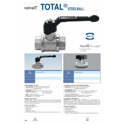 Total steelball ball valve full bore ptfe