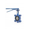 Lug type butterfly valve dn 100 pn16 flanged