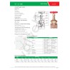 Bronze gate valve rising stem, pn 20 rated