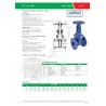 Wras approved ductile iron gate valve, rising stem PN 16
