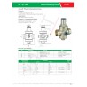 Brass pressure reducing valve, pn 25 rated