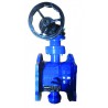 Double flanged double eccentric butterfly valve,