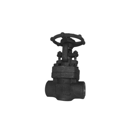 Forged steel gate valves ansi class 800