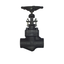 Globe valve BBRB 800 F316/316