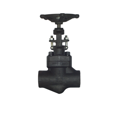 Globe valve bbrb 800 f316/316 1\" sw
