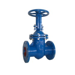 metal seated cast iron oval body gate valves outside screw and yoke pn10 - valveit