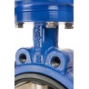 Wras approved, lug type butterfly valve